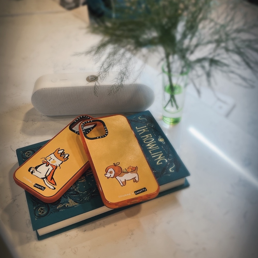 iphone 12 pro casetify case